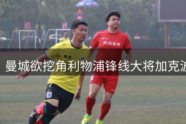曼城欲挖角利物浦锋线大将加克波 红军引援成关键
